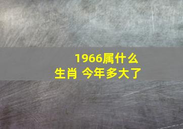 1966属什么生肖 今年多大了